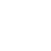 Calm Collective Logo